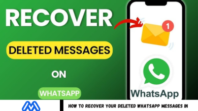 Recover Your Deleted WhatsApp Messages